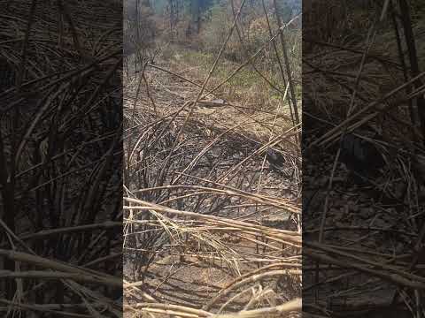 TRECHO DESATIVADO DA ESTRADA DE FERRO SOROCABANA  APÓS ITAPEVI   SÃO PAULO