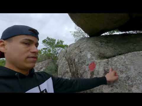 O Jaguar de Sierras de Mahoma - Mal Abrigo - San José