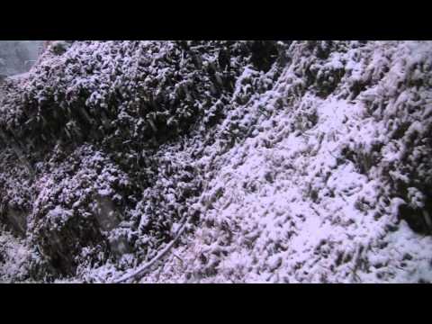 Karori covered with snow