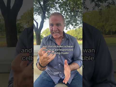 Hope for Myelin Sheath Repair in M.S. Patients?