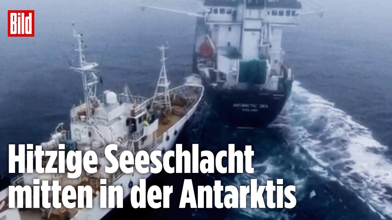 Antarktis: Öko-Aktivisten rammen Fischerboot