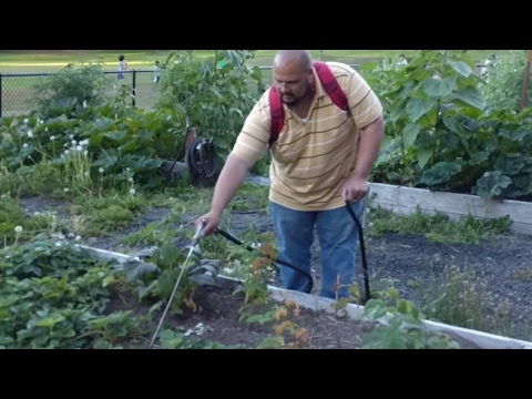 Watering has never been easier