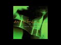 Ani Difranco, "Self Evident" (2002)