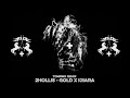 2hollis X Kiiara Gold Remix Alternative Outro