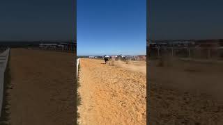 El tapete y la rubí. Grupo laberinto #musica #horsesports #caballos