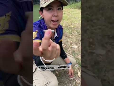 The danger of bullets falling on the field