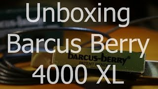 Video thumbnail for Unboxing Barcus Berry 4000XL - Planar Wave System by RLFO SOUND