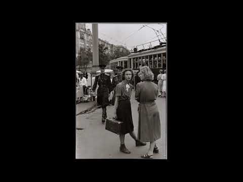 Crnogorska Poezija: Risto Ratković „Muzej“