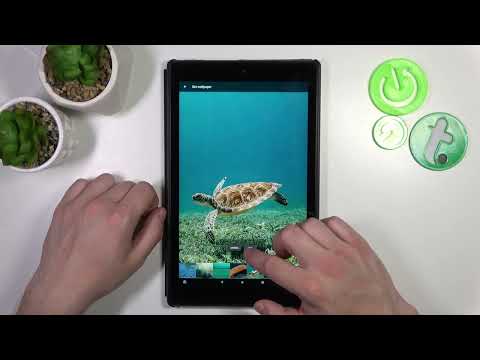 How to Find & Manage Display Settings on Amazon Fire HD 10?