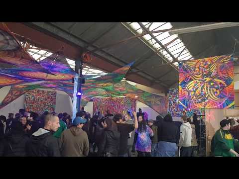Noein at Integral Seeds London Psytrance Gathering