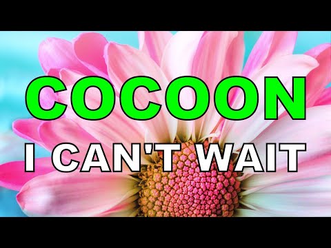 I Can't Wait - Cocoon