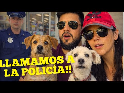 Llamamos a la policía antes de llegar a destino 😰 | Viaje inesperado a LOS REARTES