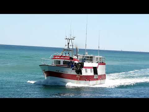 "L'ARCHE D'ALLIANCE" (AD584830)