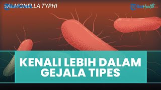 Kenali Gejala Tipes, Waspadai Makanan Pedas hingga Makanan Mentah, Dapat Sebabkan Luka Usus