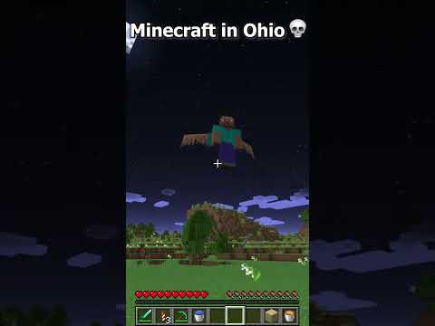 Can't even play Minecraft in Ohio 💀(part 7) #shorts #minecraft #ohio