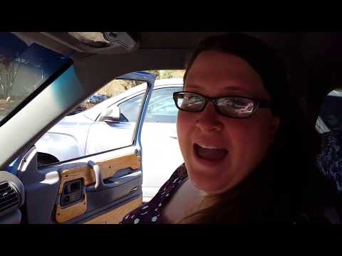 What sound does a unicorn make?