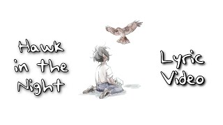 Cover art for hawk in the night