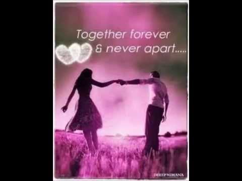 United - Johnny Flamingo