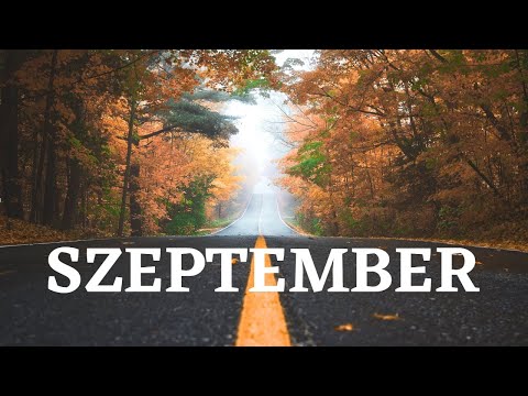 🇭🇺 Legjobb Diszkó Zenék 2020 Szeptember | Dj.Szomy