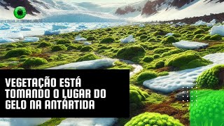 Miniatura do vídeo