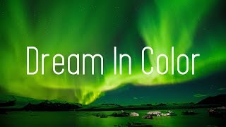 HALIENE - Dream In Color (Lyrics) AMIDY Remix