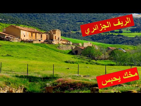 مخك يحبس في هذا الريف الجزائري الخيالي