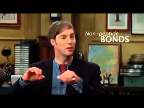 DNA BY DESIGN    Stephen C  Meyer PhD Doing the Math