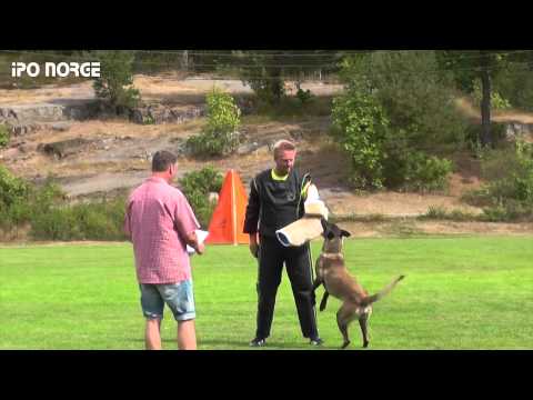 lux   cFCI NM IPO 2014 - Trond Otter Johansen - C-Lux av Staalhjerte - C