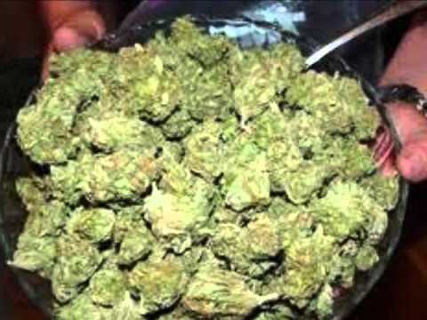 Snoop dog weed everyday (Video)