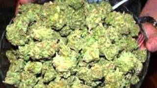 Snoop dog weed everyday (Video)