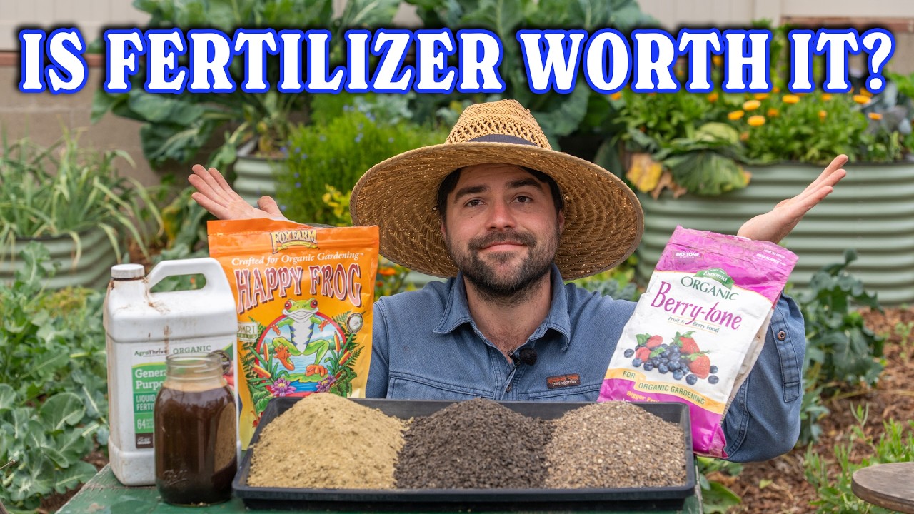 Why I've Changed How I Fertilize My Garden