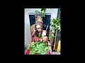 BhaktaShresta Chandeswara Nayanmaar Charitram