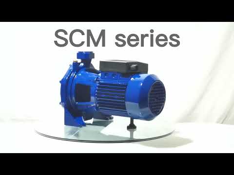 SCM double impeller water pump