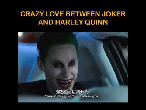 Tình yêu điên dại của Joker and Harley Quinn