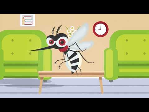 AYUDANOS A PREVENIR EL DENGUE