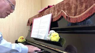 Download lagu 【麻雀/熱い戦い/死闘】愛の夢 第3番 変イ長調/フランツ・リスト/Liebesträume/Franz Liszt/生演奏を楽しむ会（彩音会）/星が丘公民館/2024年5月2日木曜日 mp3