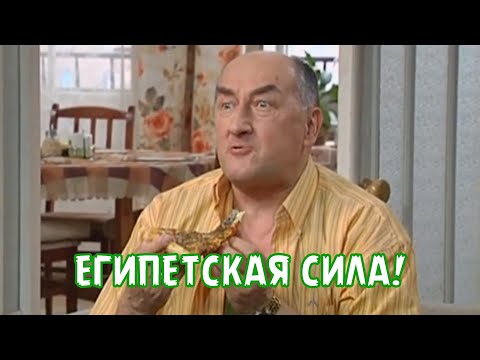 ЕГИПЕТСКАЯ СИЛА!