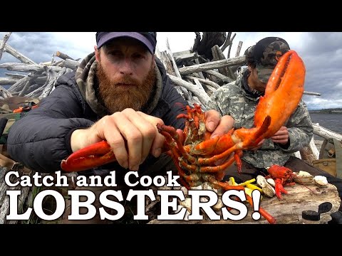 PRIMITIVE COOKING on the BEACH! - Catch and Cook Lobsters and Clams