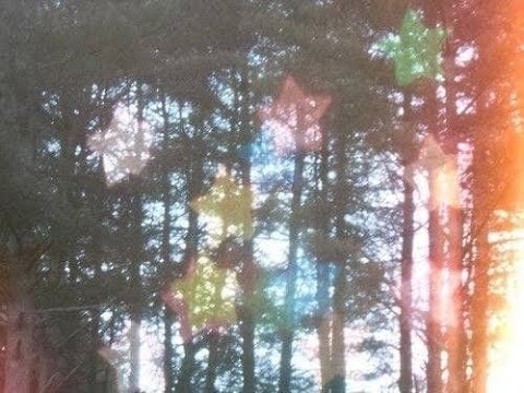 [EXCLUSIVE 50$] BONES x  GREAF x GRAYERA TYPE BEAT -  CONIFERS