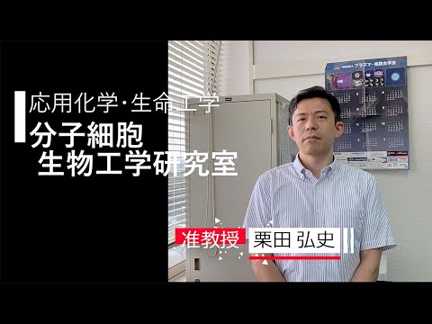 【応用化学・生命工学】分子細胞生物工学研究室