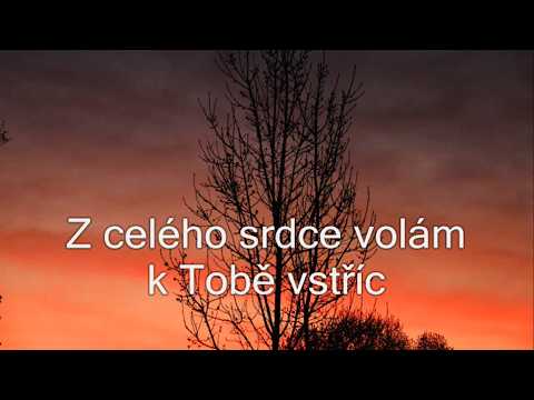 Jiří Zmožek - Z celého srdce volám k Tobě