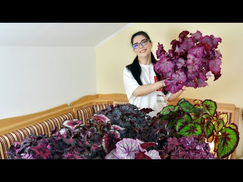 Product video