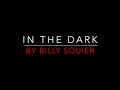 BILLY SQUIER - IN THE DARK (1981) LYRICS