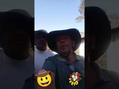REPÓRTER DO MATO E GILBERTÃO DA PALMEIRA JUNTOS E MISTURADOS