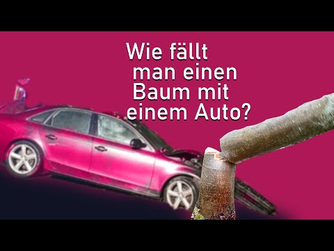 Wie fällt man einen Baum mit einem Auto?