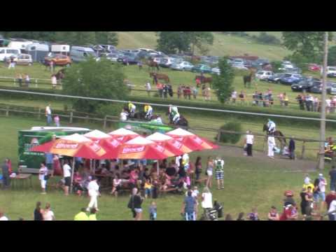 2017 Světlá Hora - 4.dostih - Cena Dostihové stáje Hudec-Olehla