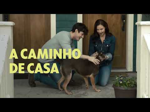 Chamada Sessão da Tarde | A Caminho De Casa  | Hoje | (31/07/2023) Globo