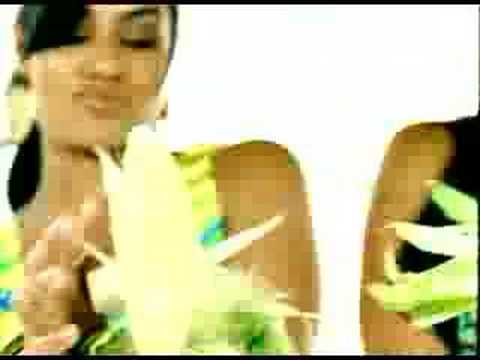 N.O.R.E. Ft Fat Joe Lil Rob Chingo Bling Nina Sky Big Mato