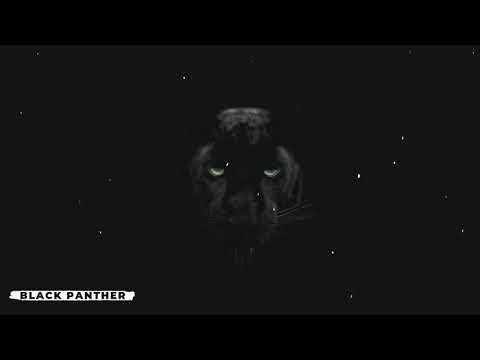 Acid Kid - Black Panther