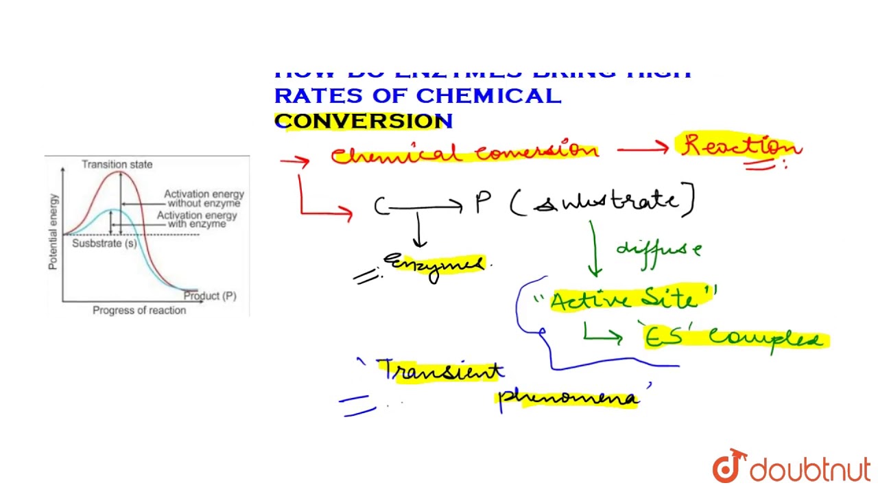 HOW DO ENZYMES BRING ABOUT SUCH HIGH RATES OF CHEMICAL CONVERSIONS?